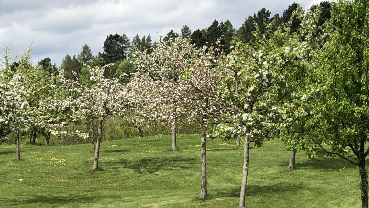 GolfResort Hardenberg