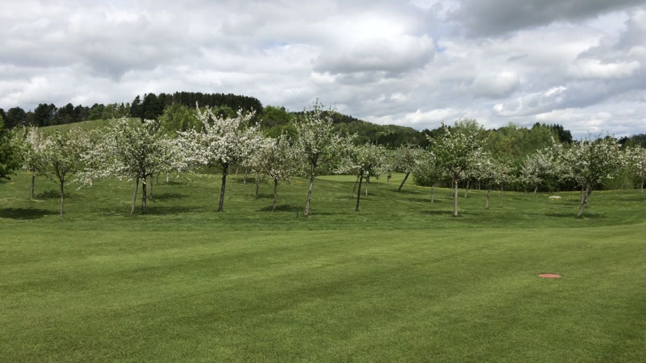 GolfResort Hardenberg