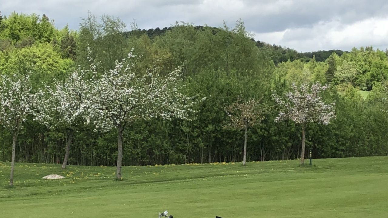 GolfResort Hardenberg