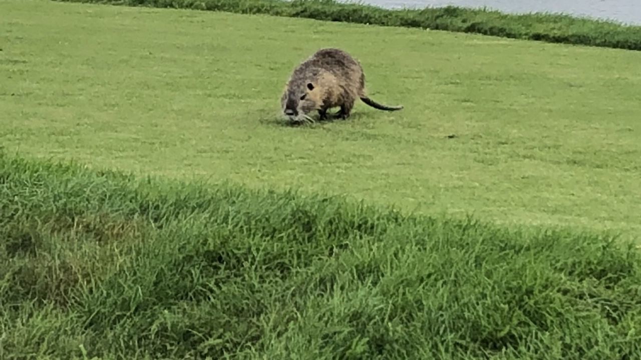 Castanea Resort Adendorf