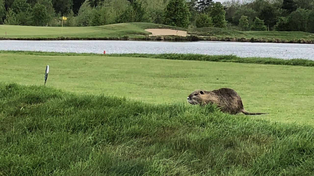 Castanea Resort Adendorf