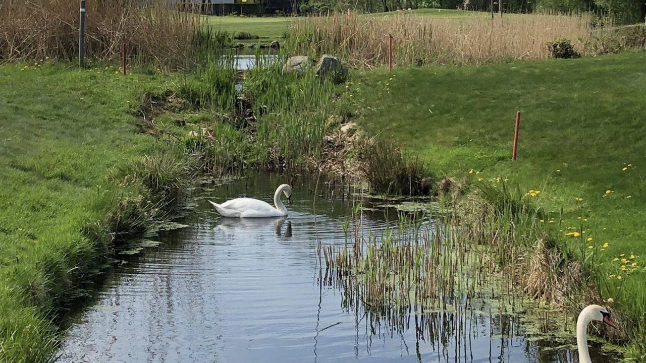 Castanea Resort Adendorf