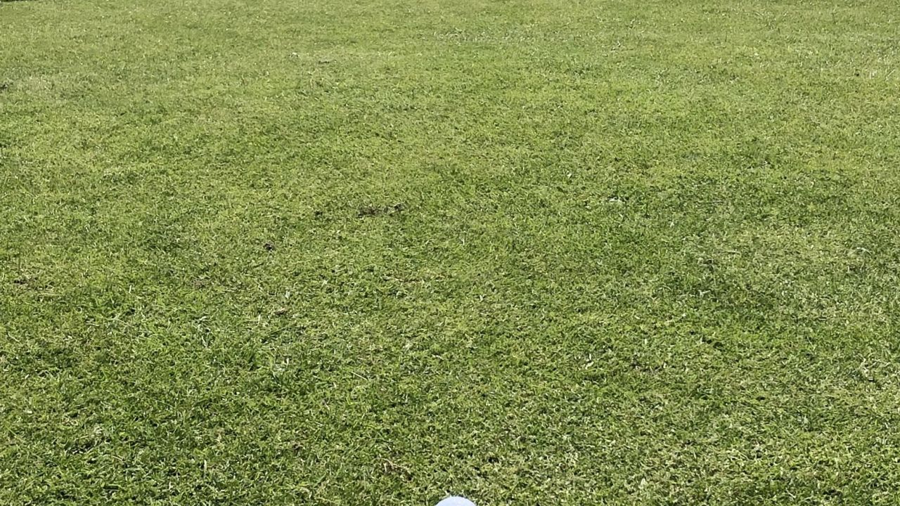 Castanea Resort Adendorf