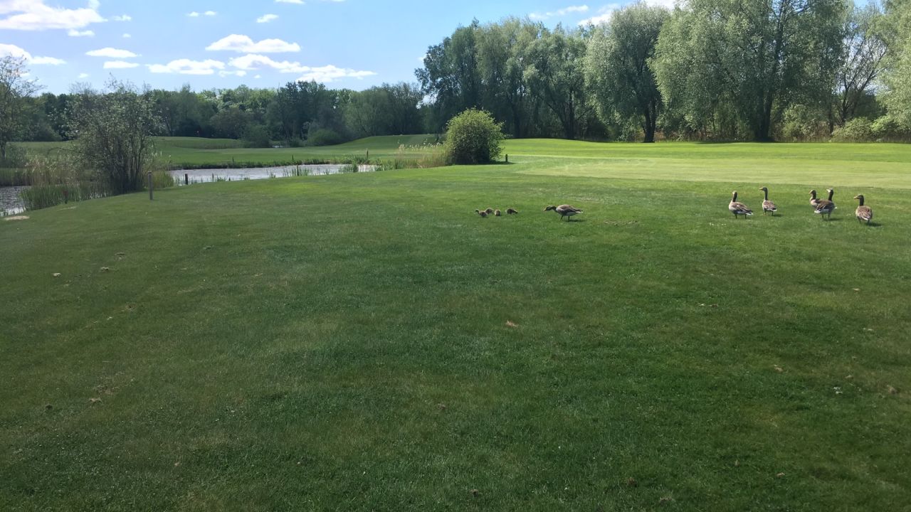 Märkischer Golf Club Potsdam