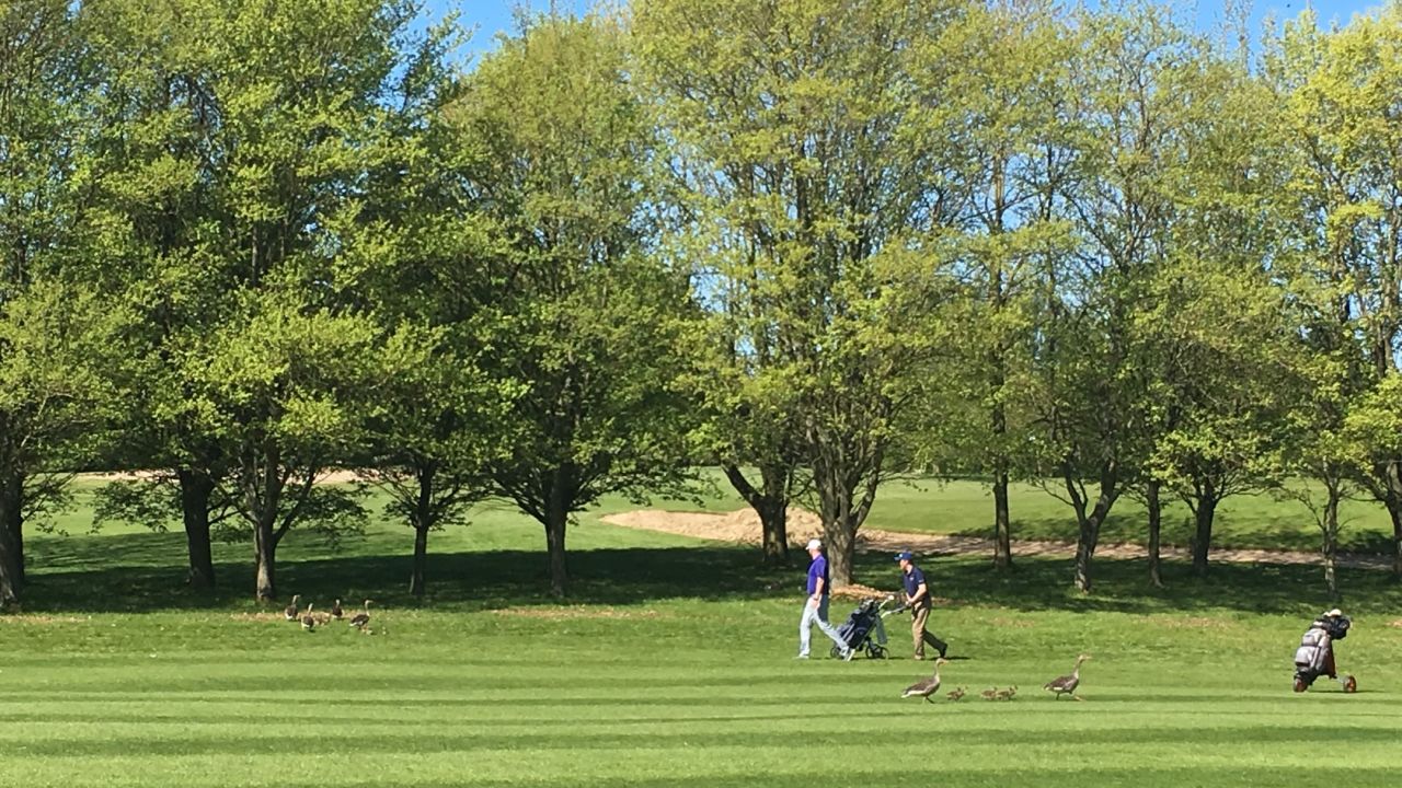 Golfresort Strandgrün Timmendorfer Strand