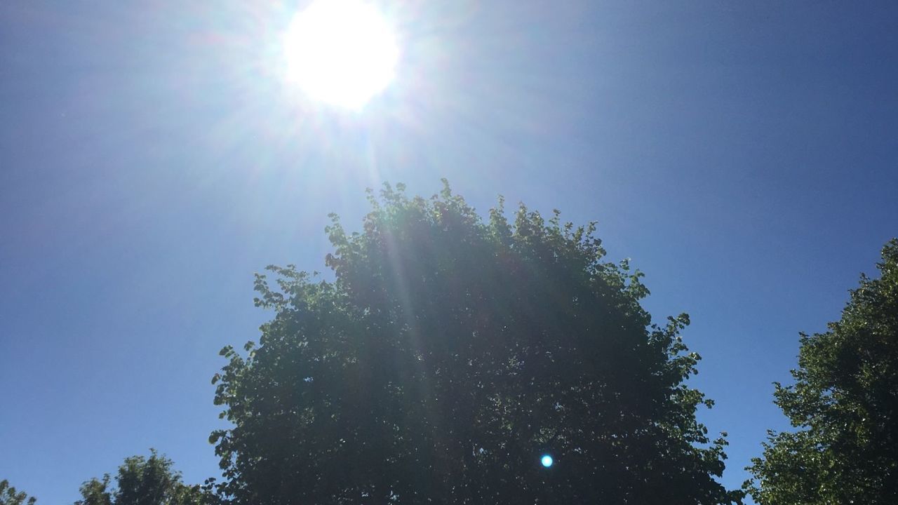 1. Bremer Cross Golf Club n.e.V.