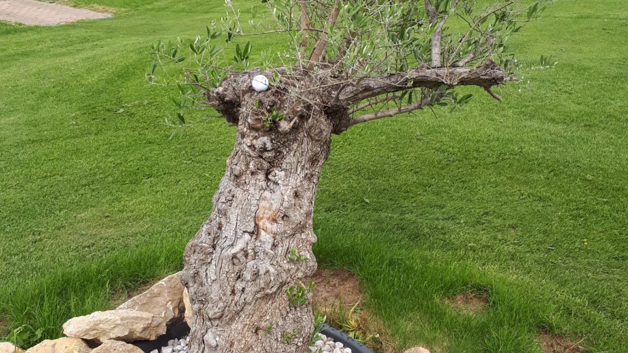 Golf & Country Club Leipzig