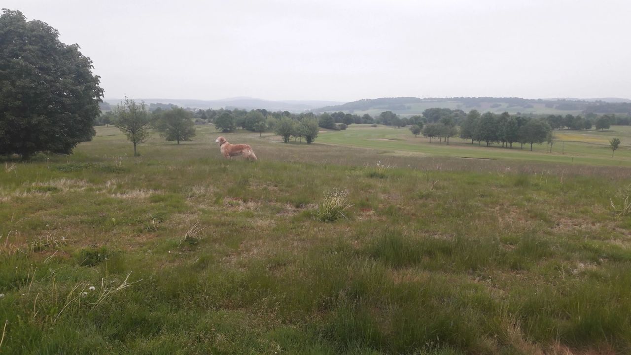Golfpark Schlossgut Sickendorf, Golfclub Lauterbach