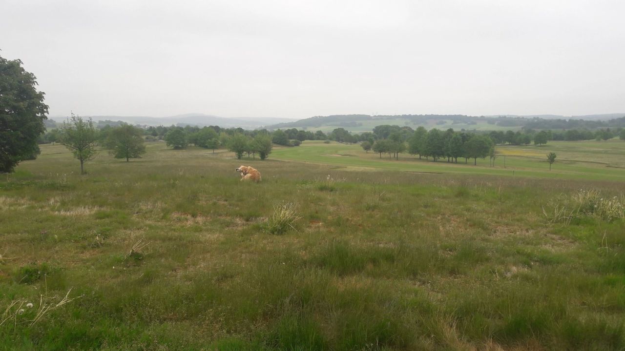 Golfpark Schlossgut Sickendorf, Golfclub Lauterbach