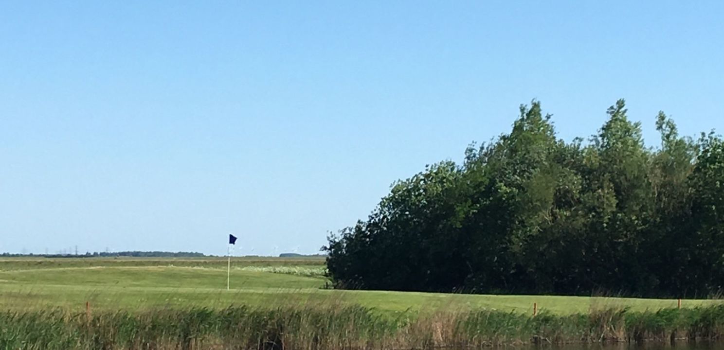 GC Büsum Dithmarschen