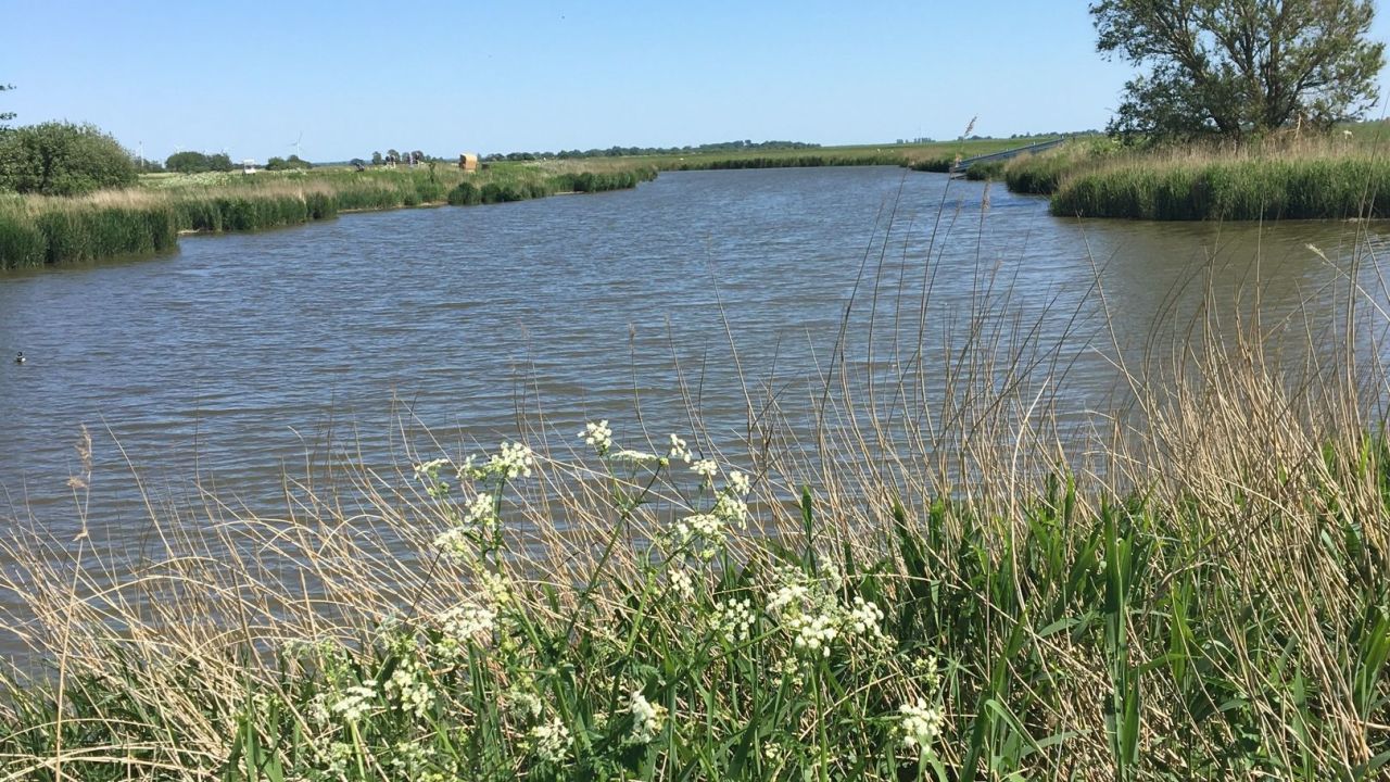 GC Büsum Dithmarschen