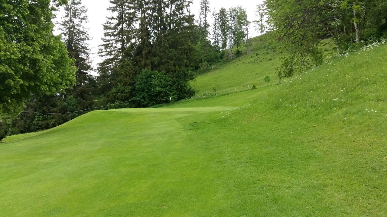 GC Oberstaufen-Steibis