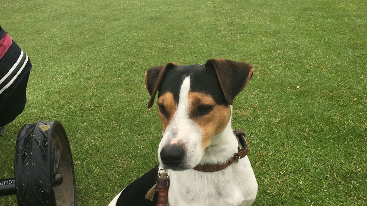 Golf- & LandClub Gut Uhlenhorst