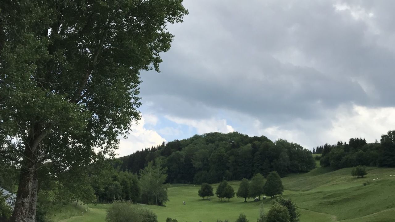 GC Waldegg-Wiggensbach e.V.