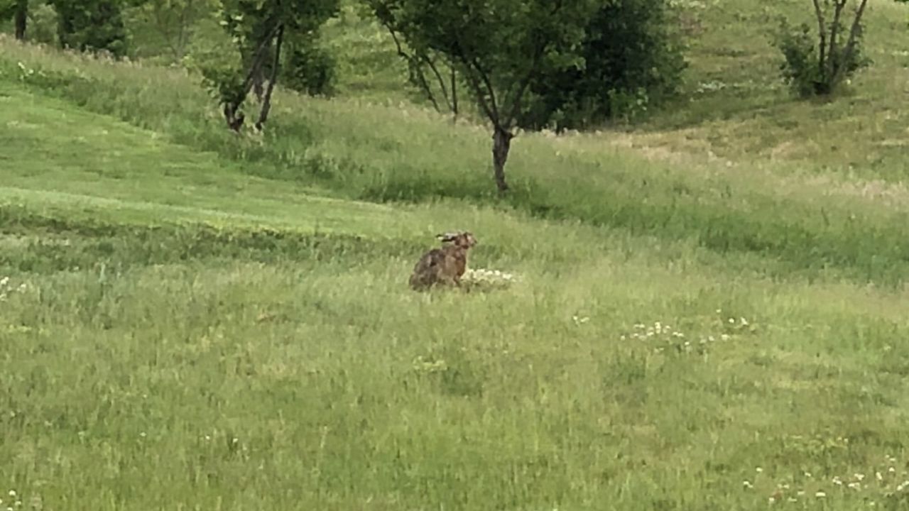 GolfResort Hardenberg