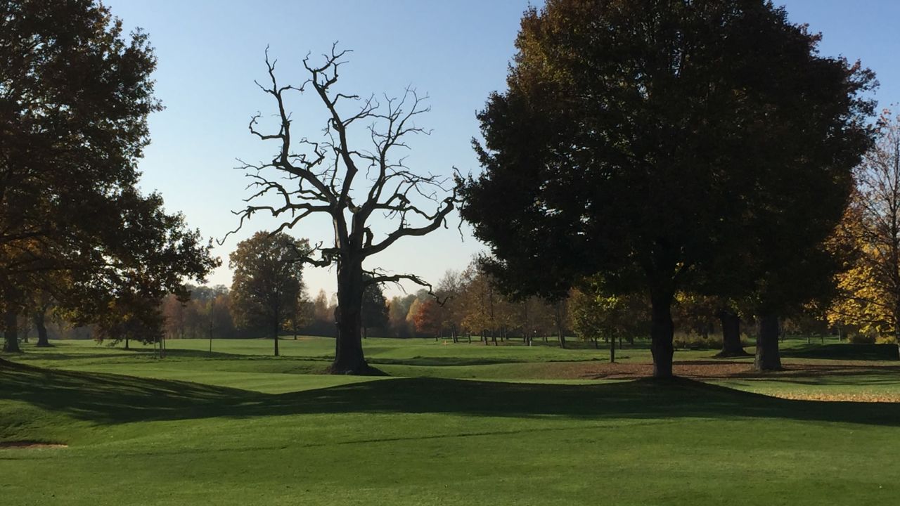 Wittelsbacher GC Rohrenfeld-Neuburg