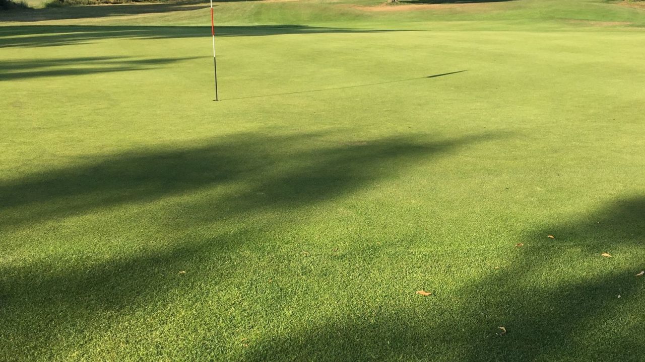 GC Hamburg Walddörfer