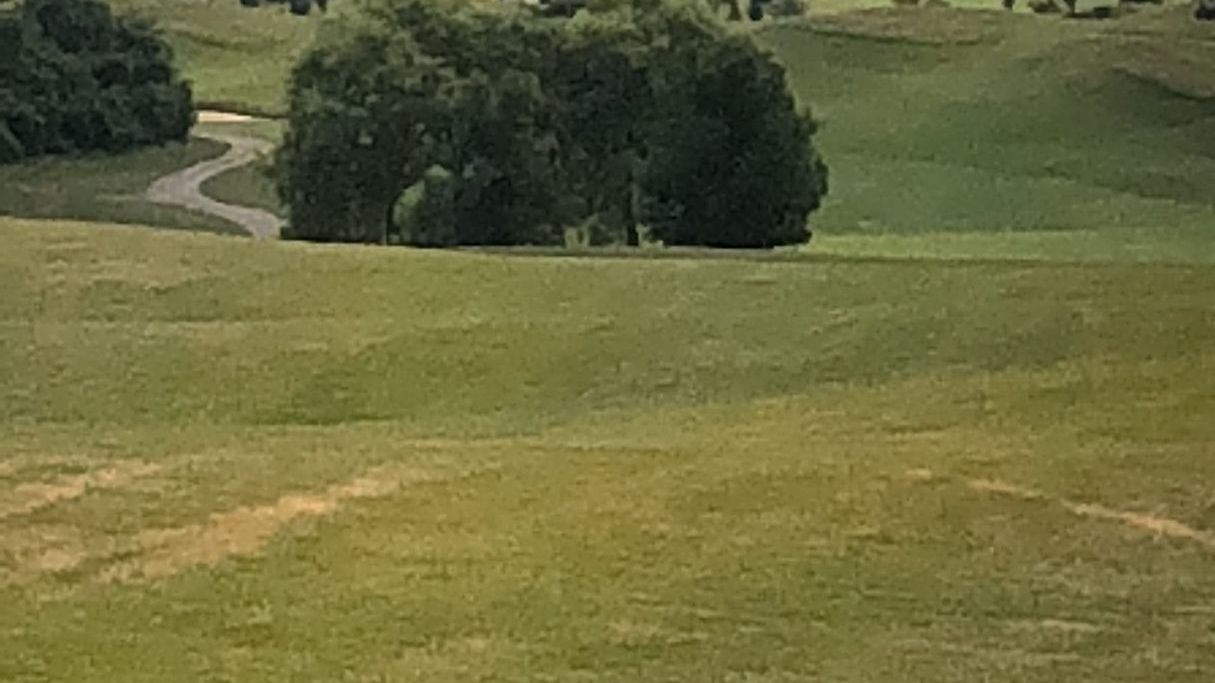 GolfResort Hardenberg