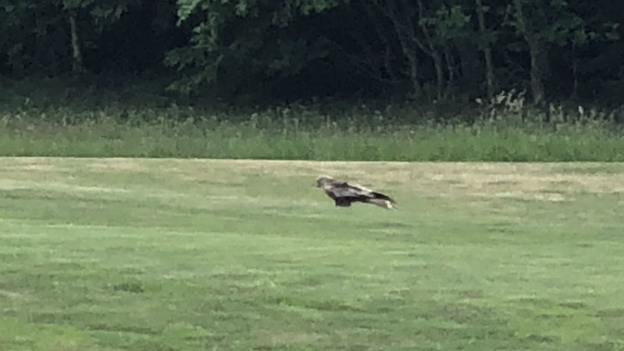 GolfResort Hardenberg