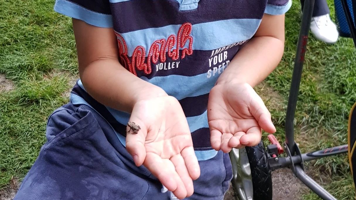 Golfanlage Clostermanns Hof