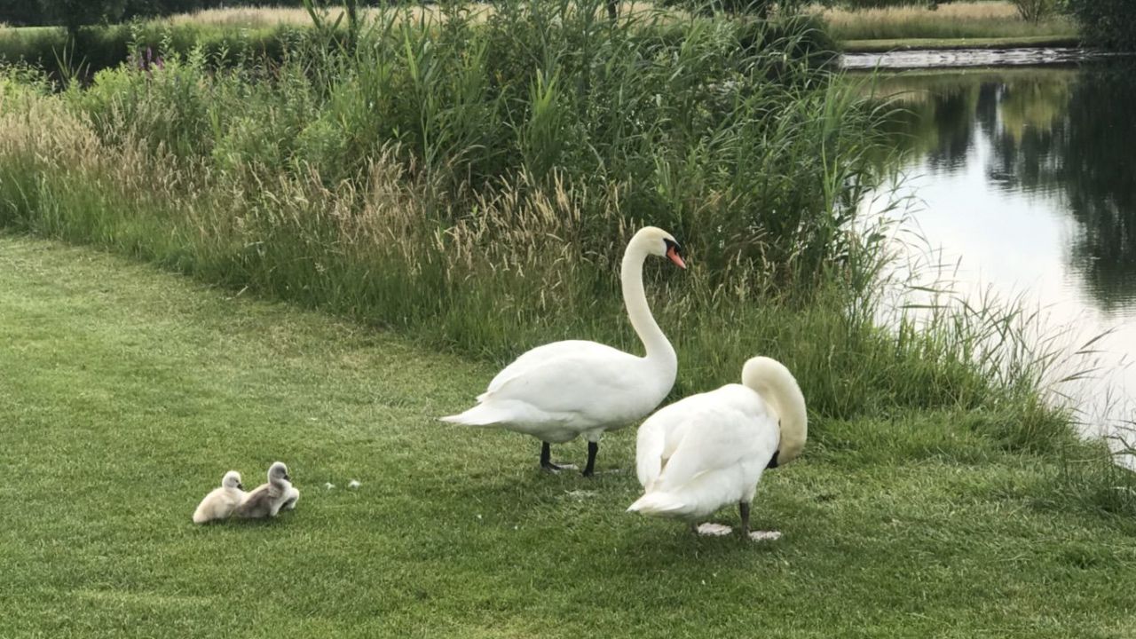 GC Worms Golfanlage Hamm