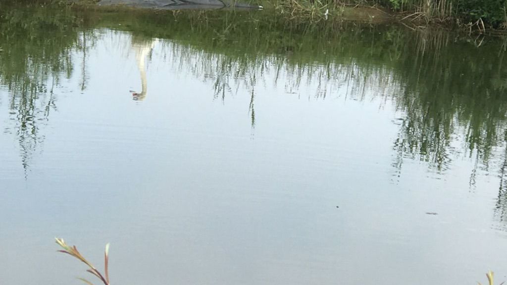 GC Worms Golfanlage Hamm