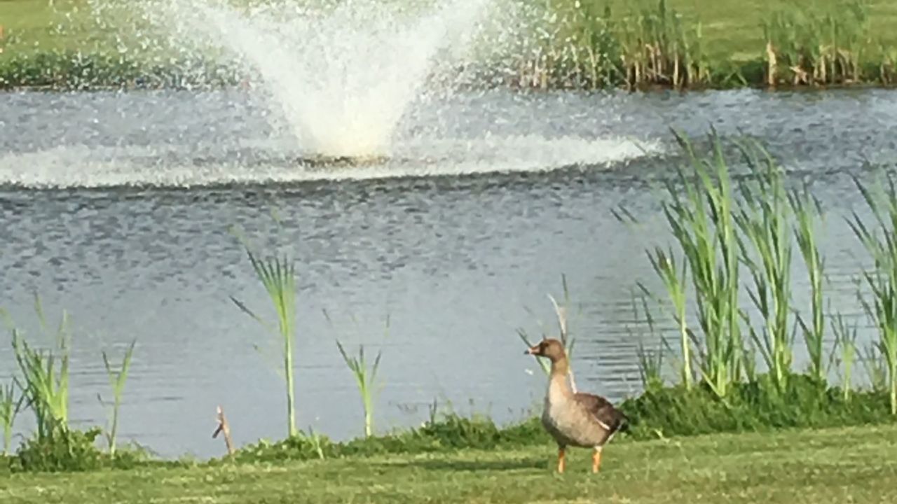 GolfRange Berlin-Großbeeren