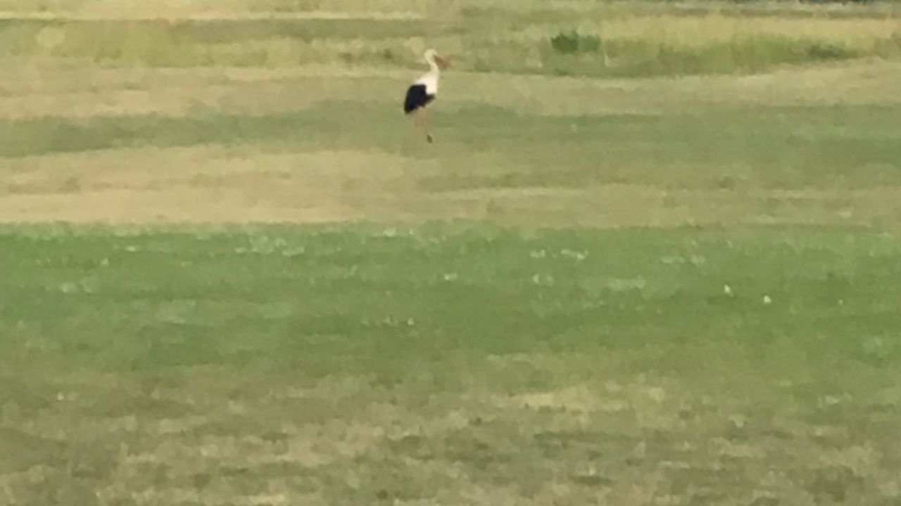 GolfRange Berlin-Großbeeren