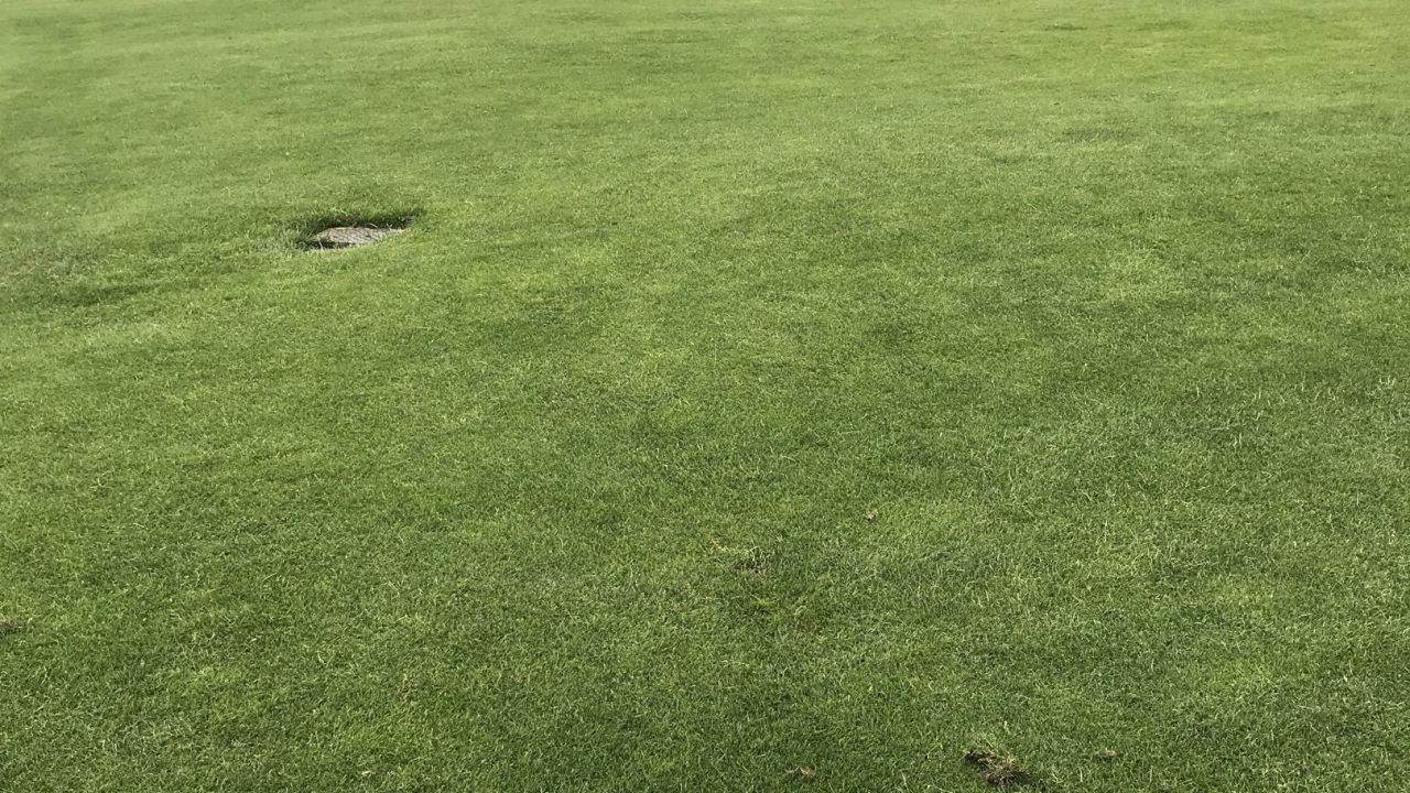 Berliner GC Stolper Heide