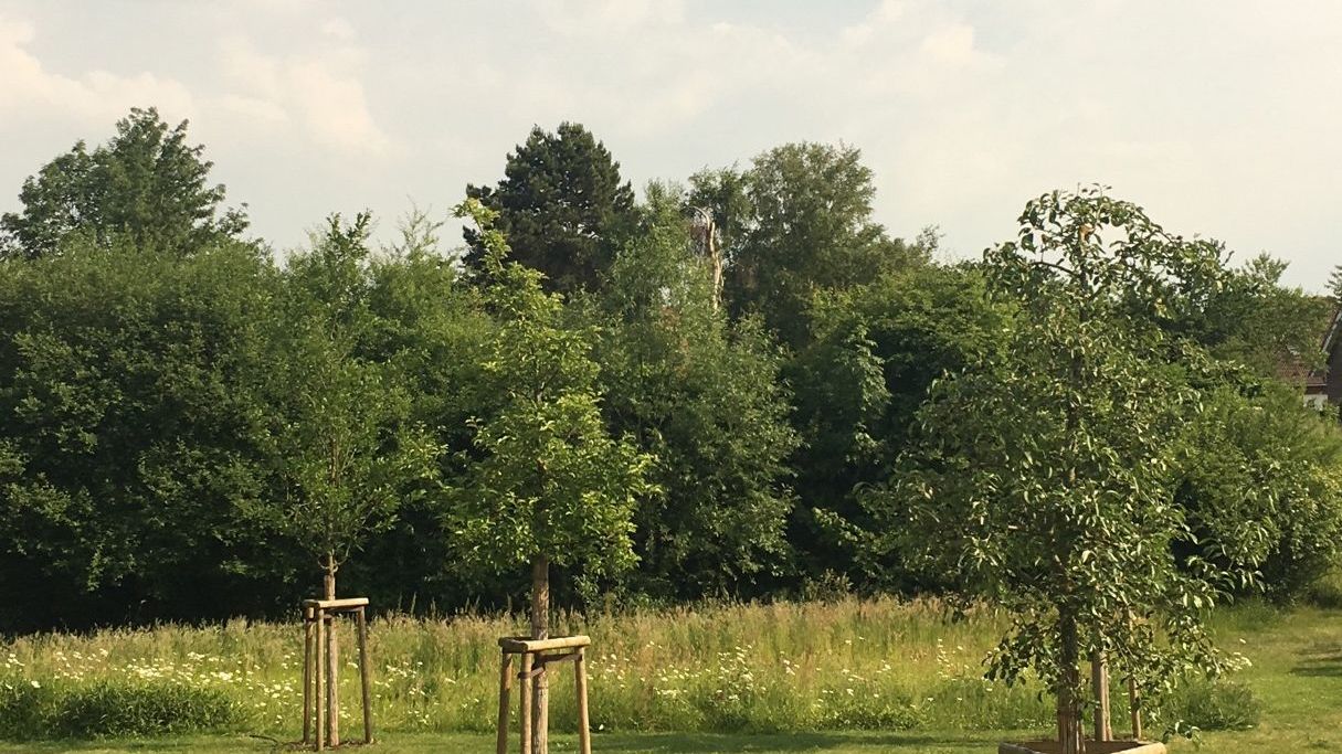 Golf Park Gudensberg