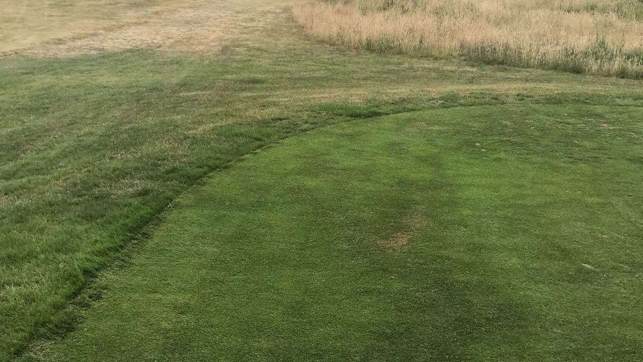 Berliner GC Stolper Heide