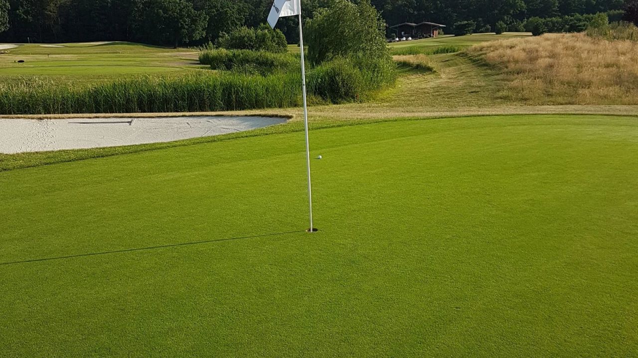 Green Eagle Golf Courses