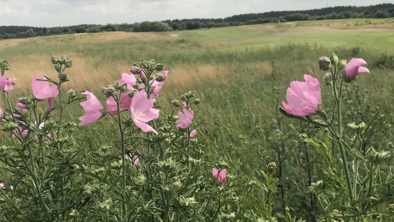 Golfclub Berlin Prenden