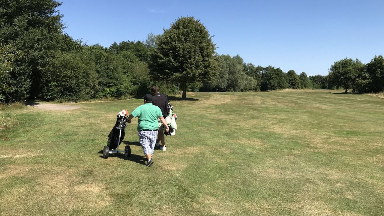 Öffentliche Kölner Anlage