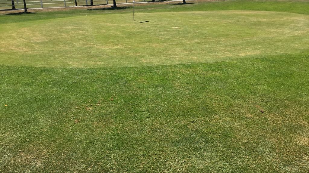 Golfplatz Werne a. d. Lippe