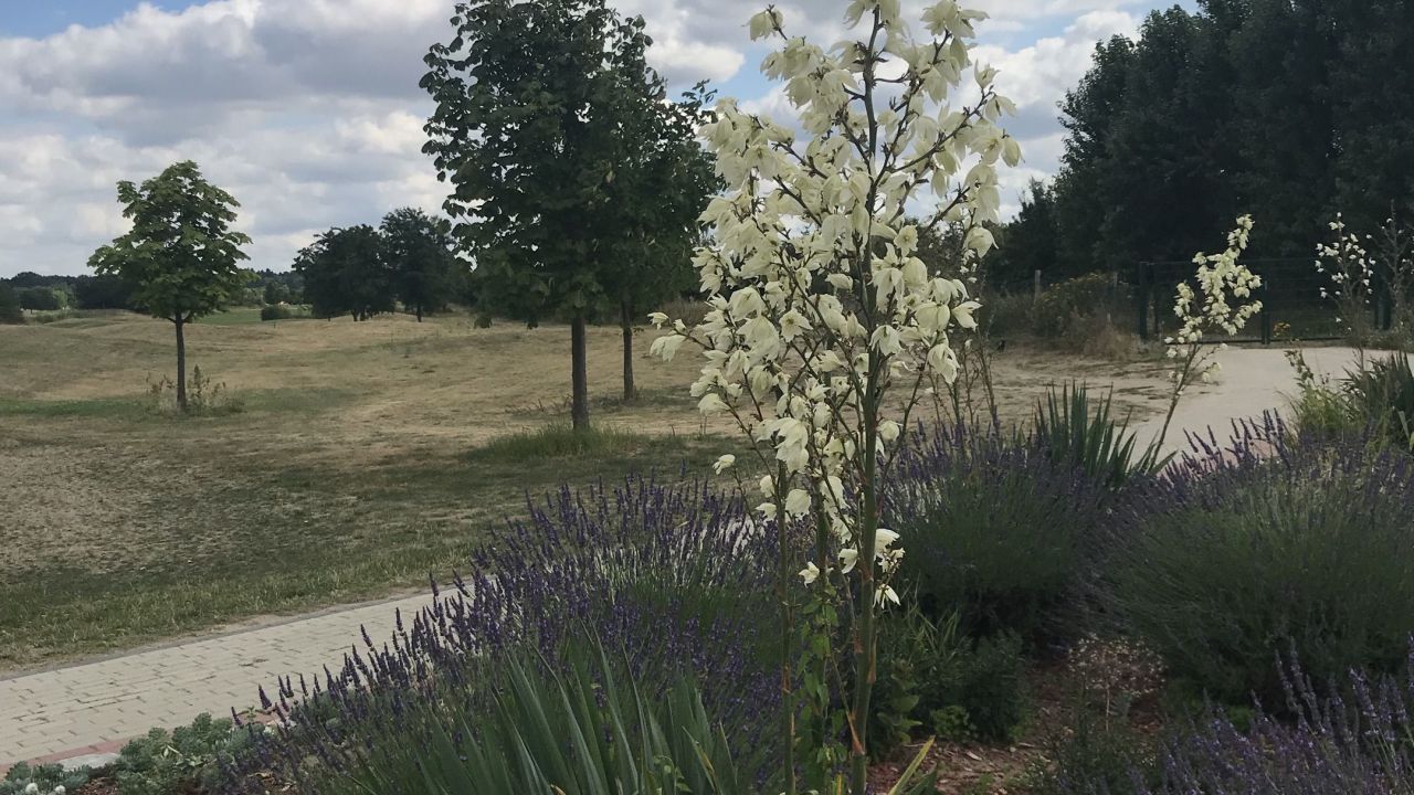 Berliner GC Stolper Heide