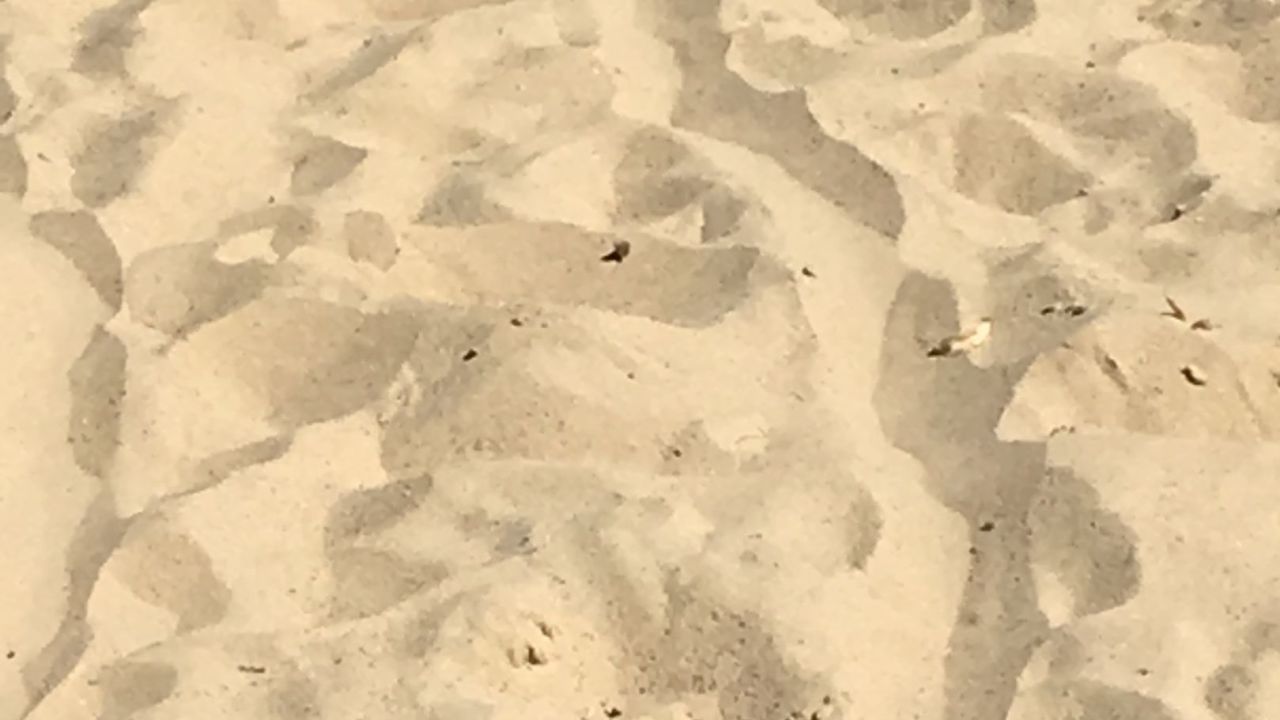 1. Bremer Cross Golf Club n.e.V.