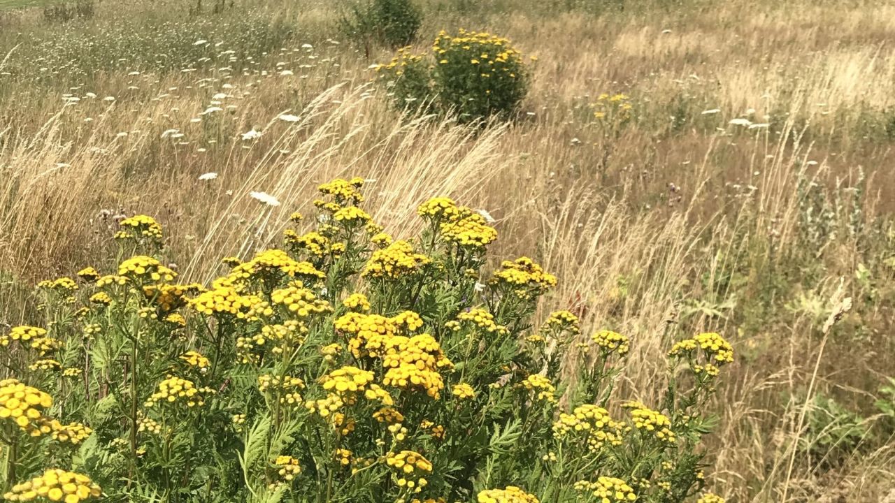 Golfclub Berlin Prenden