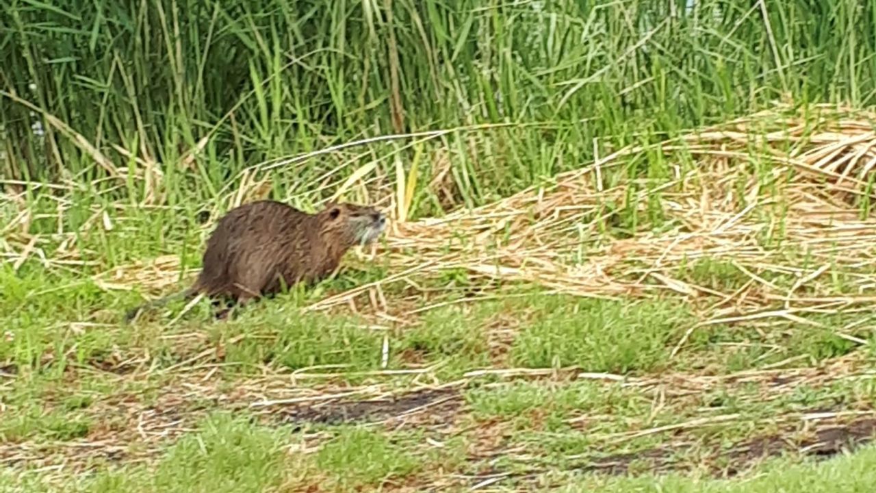 Golfanlage Schloss Lüdersburg