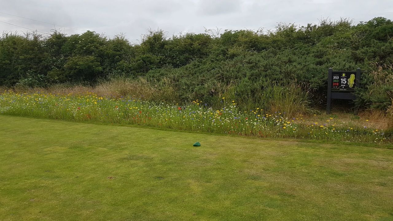 Kirkistown Castle Golf Club