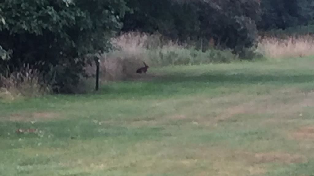 Golfclub Hamburg Gut Waldhof