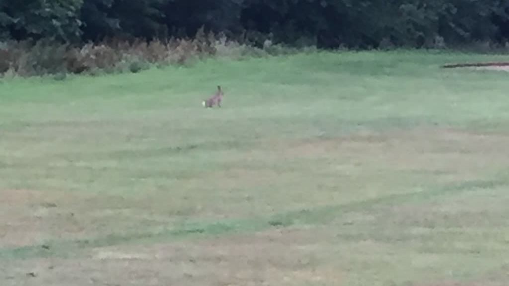 Golfclub Hamburg Gut Waldhof