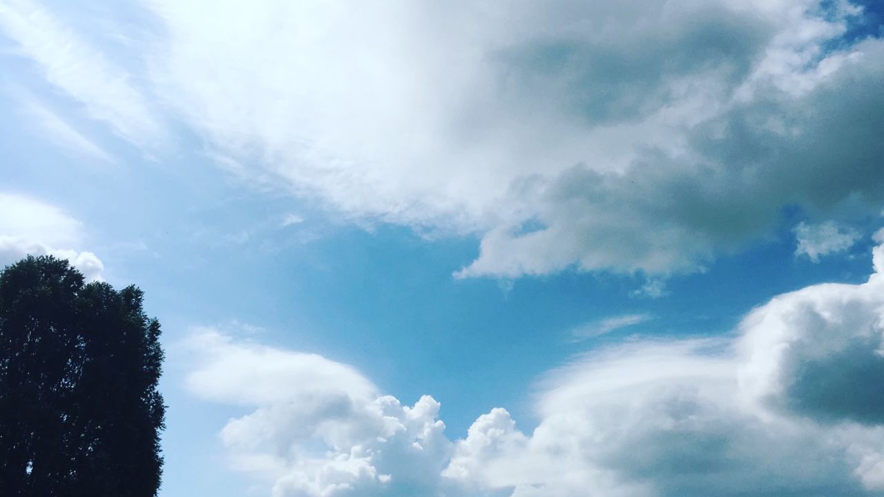 1. Bremer Cross Golf Club n.e.V.