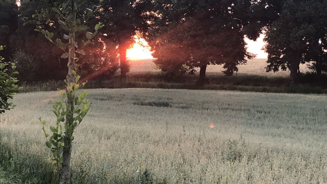 Westfälischer GC Gütersloh