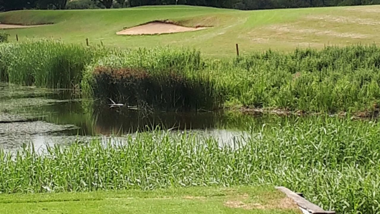 Golfresort Strandgrün Timmendorfer Strand