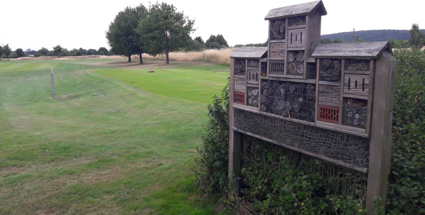 GC Hof Hausen vor der Sonne