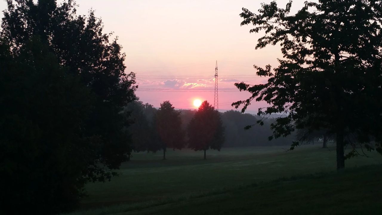 GC Domäne Niederreutin