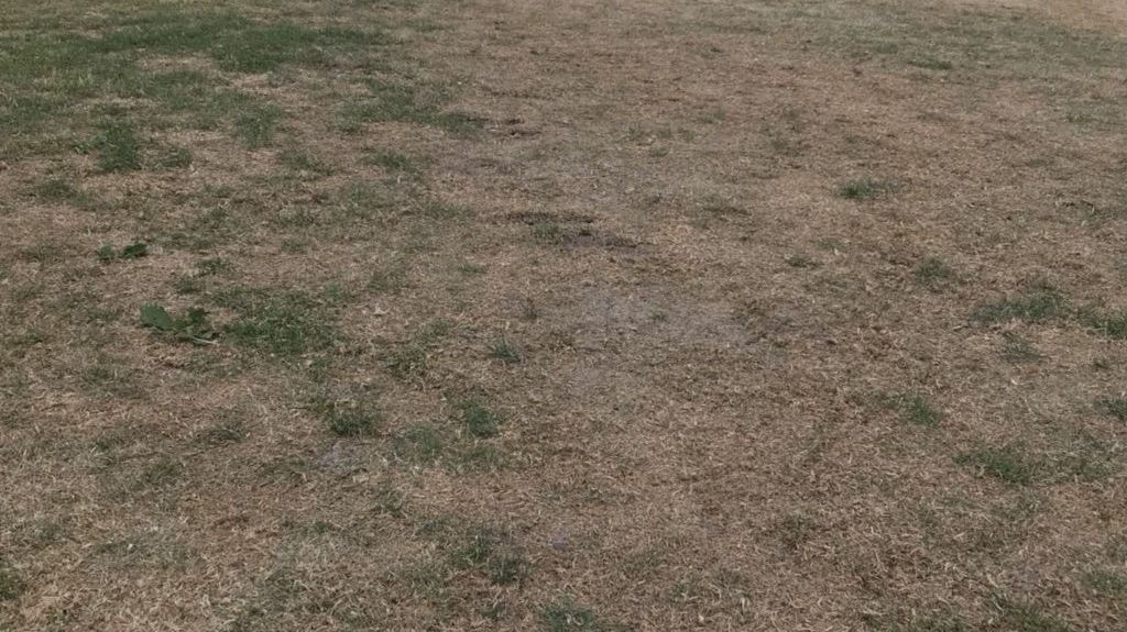 Golfpark am Löwenhof