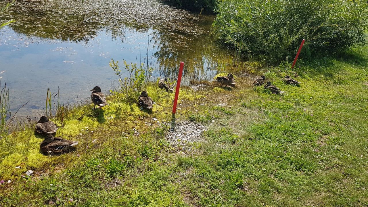 Golfanlage Harthausen