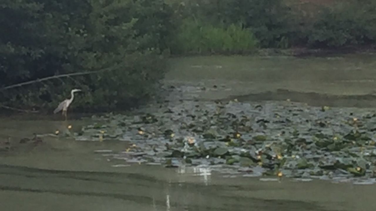 Golfclub Hamburg Gut Waldhof